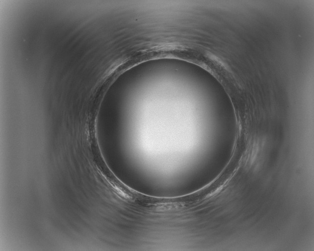 X0000068271305200604241247