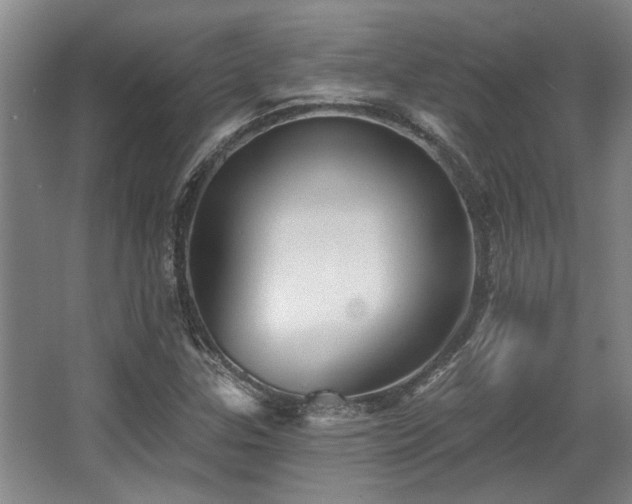 X0000068271307200604241247