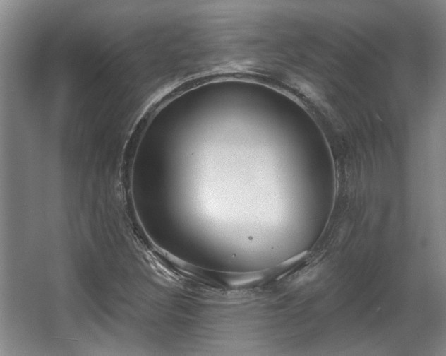 X0000068271308200604241247