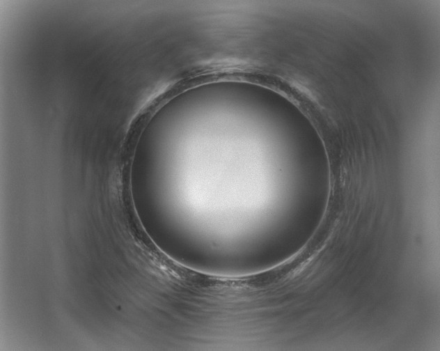 X0000068271309200604241247