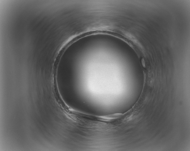 X0000068271316200604241247