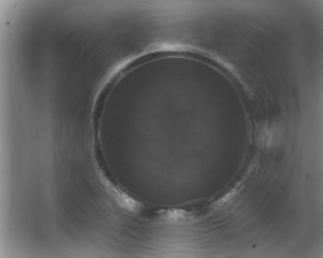 X0000068271319200604241247