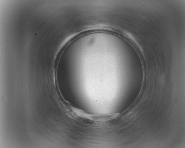 X0000068271320200604241247