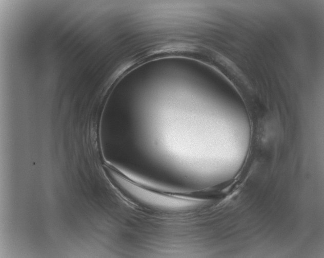 X0000068271321200604241247