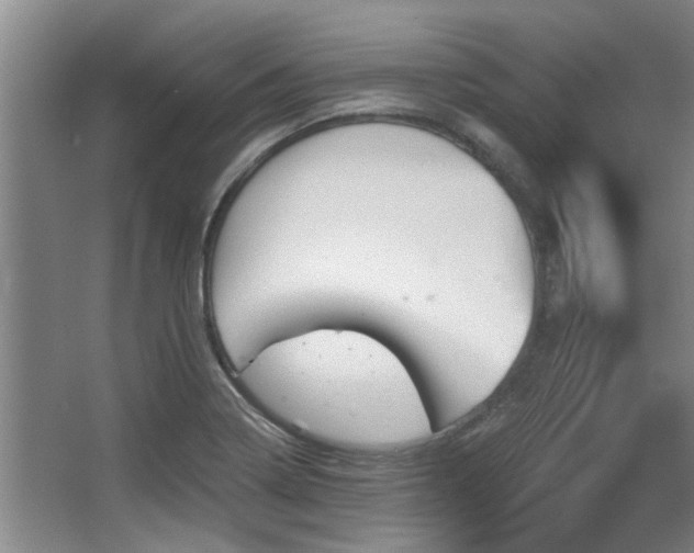 X0000068271322200604241247