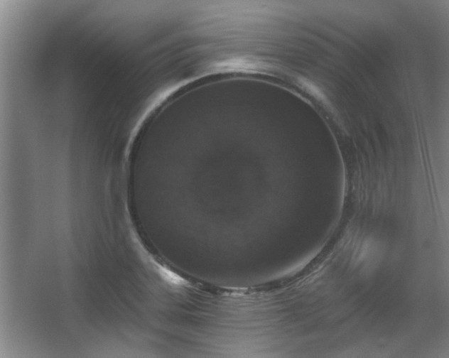 X0000068271323200604241247