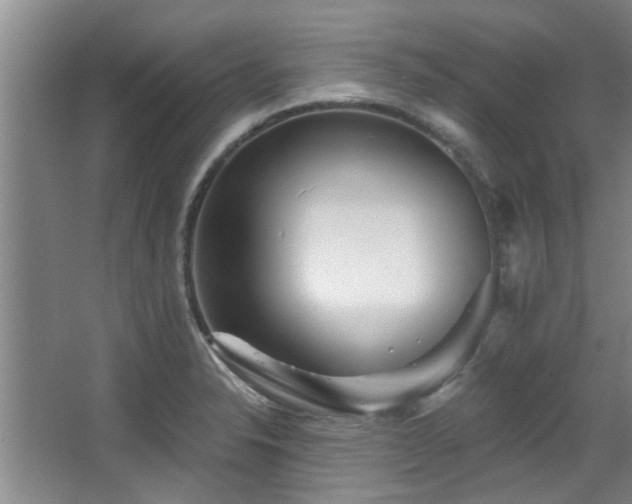 X0000068271326200604241247