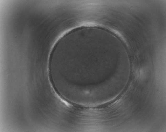 X0000068271327200604241248