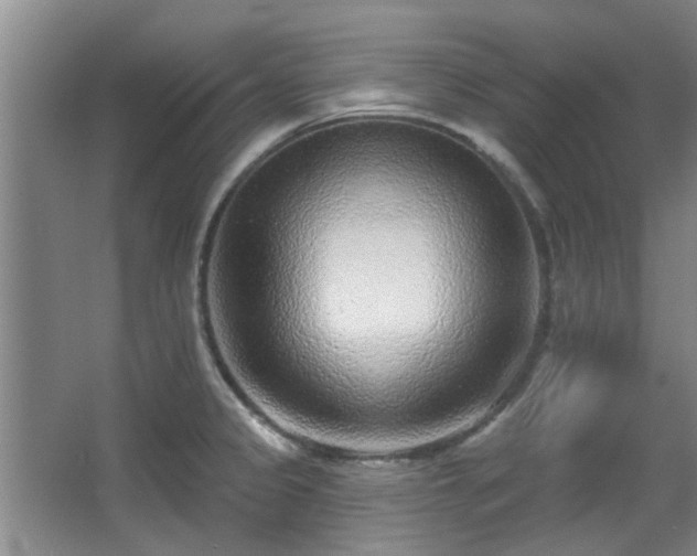 X0000068271333200604241248