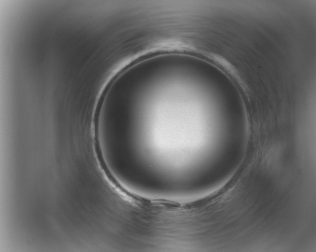 X0000068271335200604241248