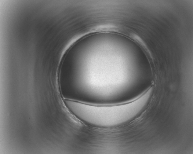 X0000068271336200604241248