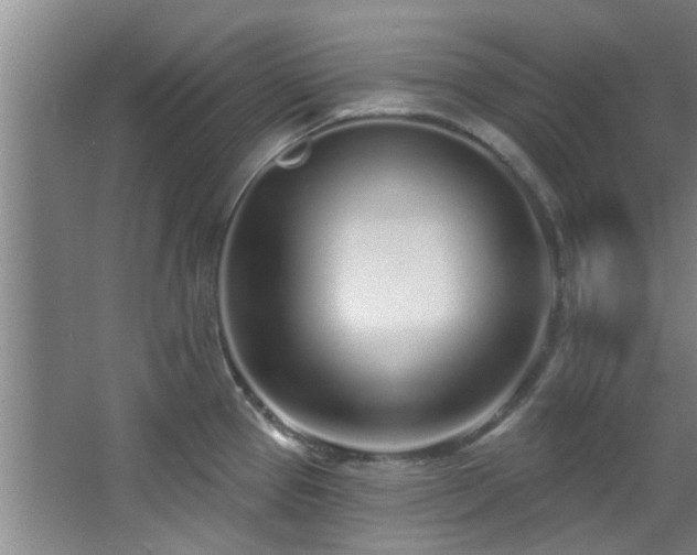 X0000068271337200604241248