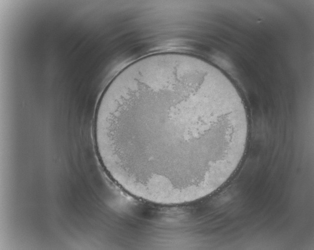 X0000068271338200604241248