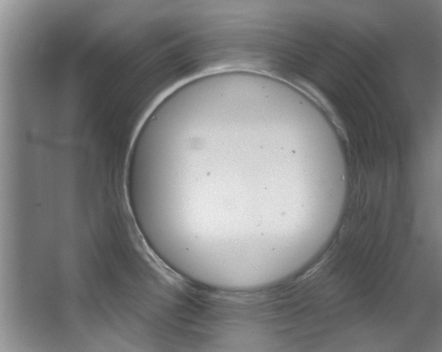 X0000068271340200604241248