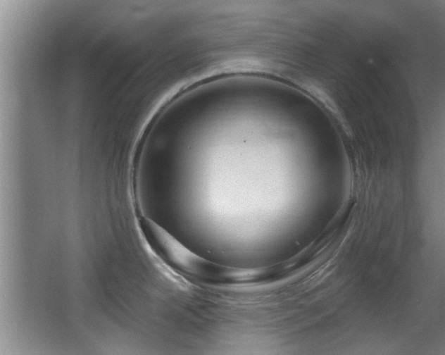 X0000068271342200604241248