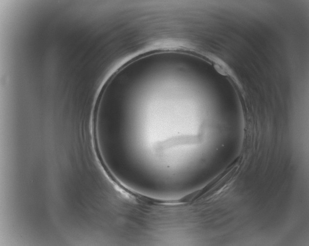 X0000068271343200604241248