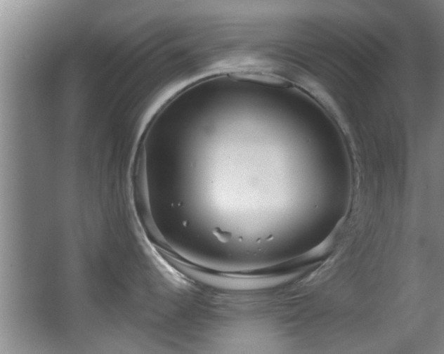 X0000068271344200604241248