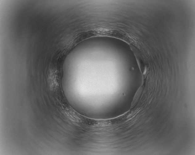 X0000068271346200604241247