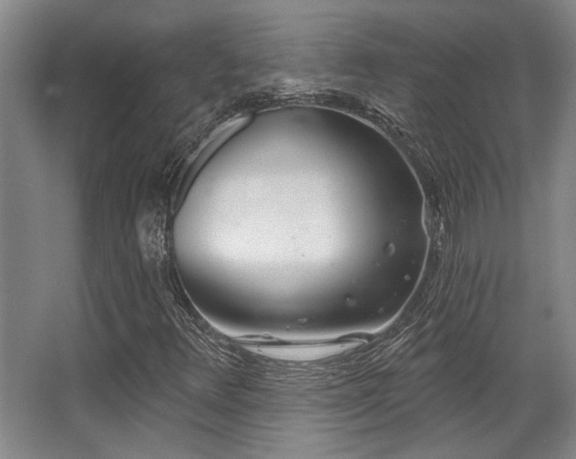 X0000068271348200604241247