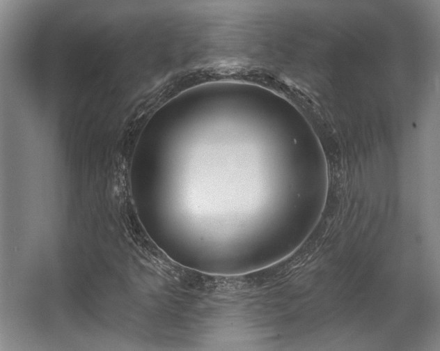 X0000068271349200604241247