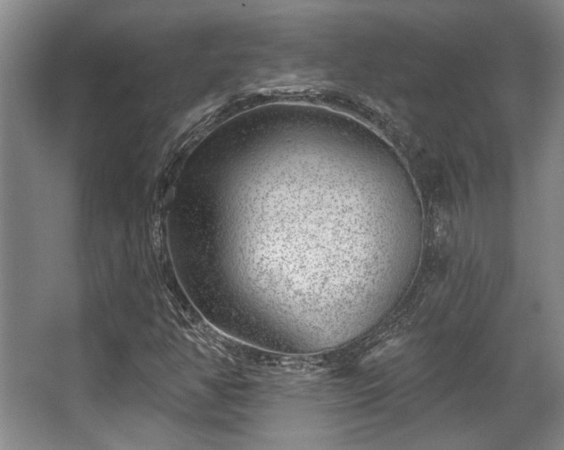 X0000068271350200604241247