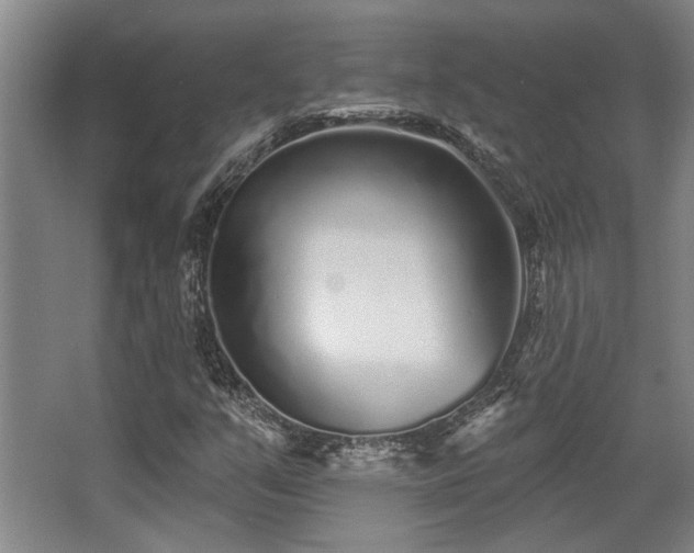 X0000068271351200604241247