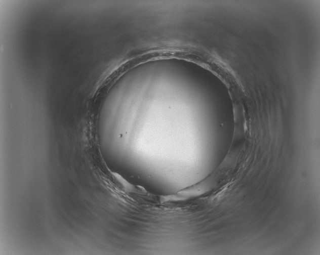 X0000068271352200604241247