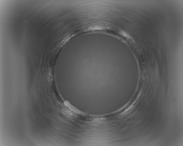 X0000068271353200604241247