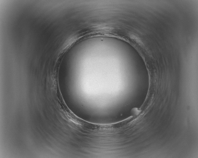 X0000068271354200604241247