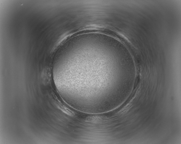 X0000068271355200604241247