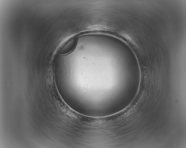 X0000068271358200604241247