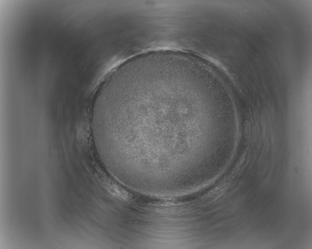 X0000068271359200604241247