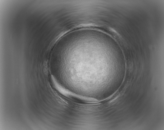 X0000068271361200604241247