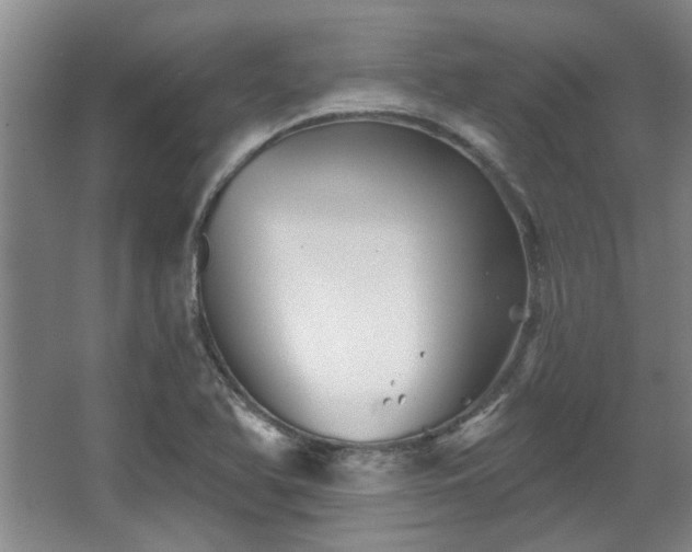 X0000068271366200604241247