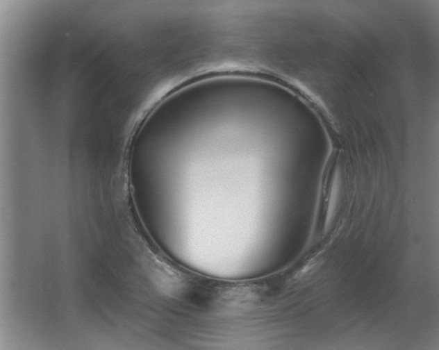 X0000068271367200604241247