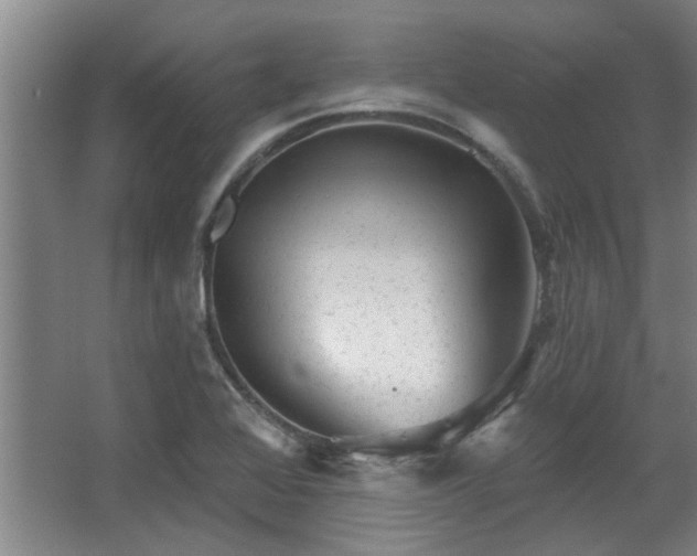 X0000068271368200604241247