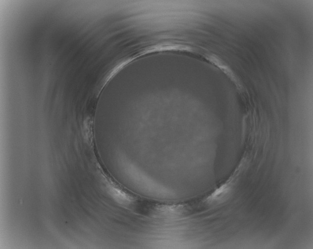 X0000068271369200604241247