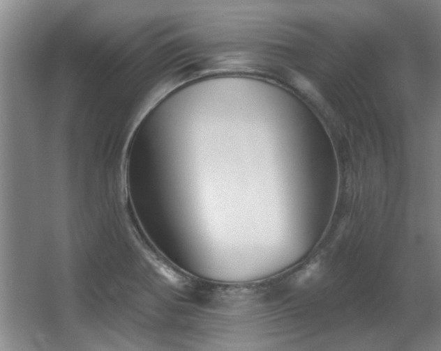 X0000068271370200604241247