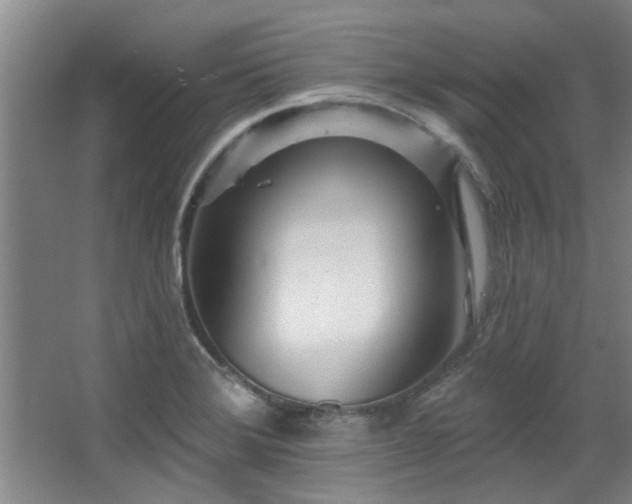 X0000068271372200604241247