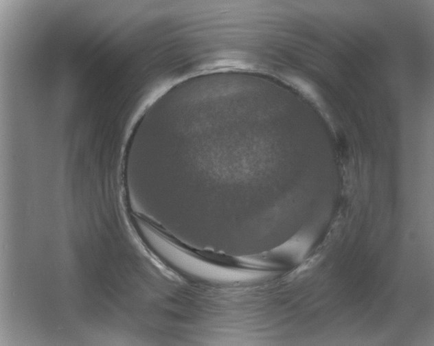 X0000068271373200604241247