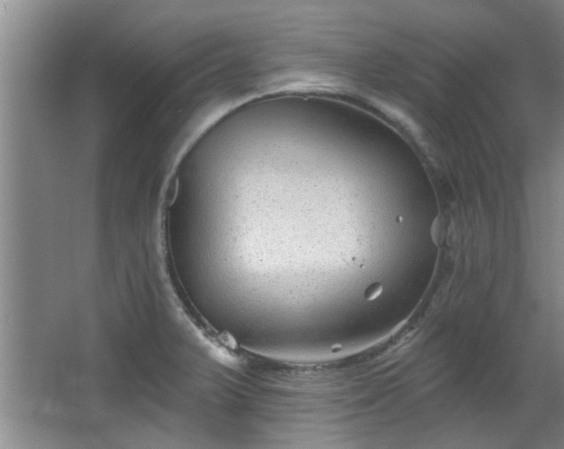 X0000068271375200604241246