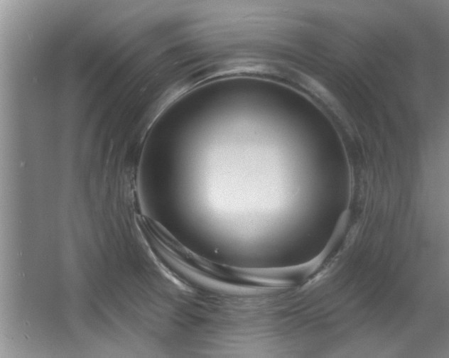 X0000068271377200604241246