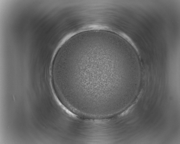 X0000068271381200604241246