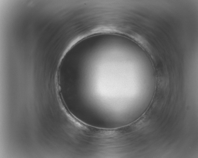 X0000068271382200604241246