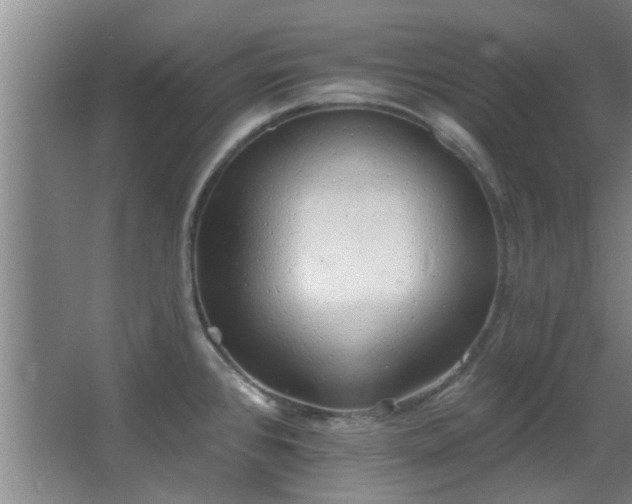 X0000068271384200604241246