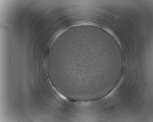 X0000068271385200604241246