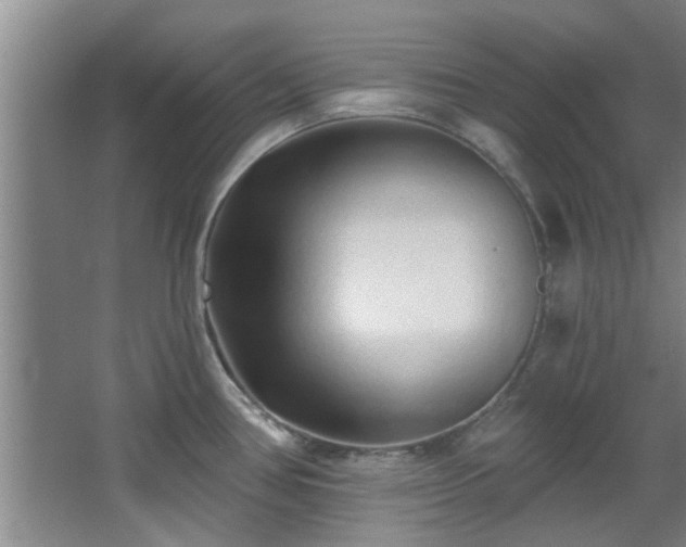 X0000068271386200604241246