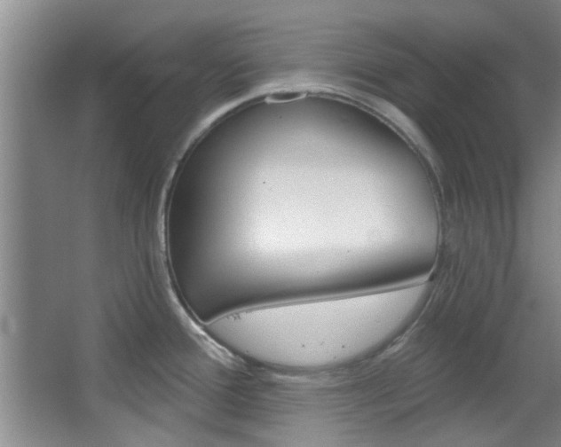 X0000068271388200604241246