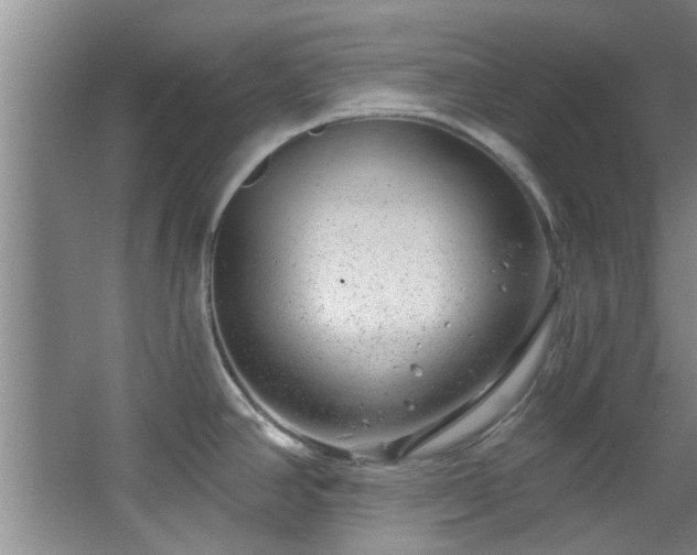 X0000068271390200604241246