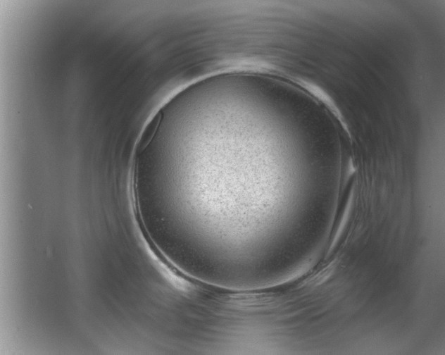 X0000068271391200604241246